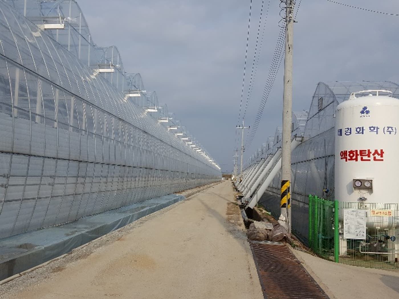 Commercial tomato greenhouse using O2MOS oxygenated nutrient solution