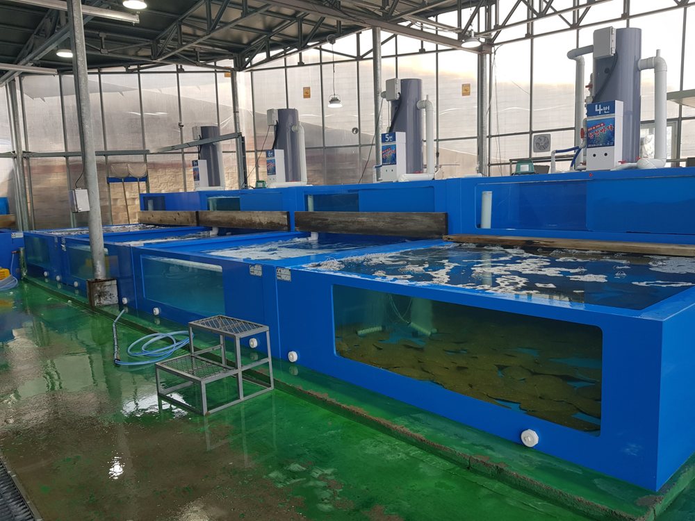 Wholesale live seafood holding tanks with oxygen supply units